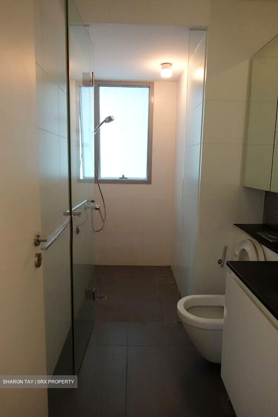 The Minton (D19), Condominium #497743011